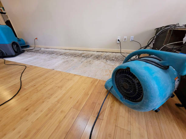 Professional Basement Flood Cleanup technician working in Hayden, ID